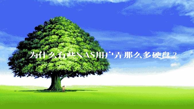 为什么有些NAS用户弄那么多硬盘?