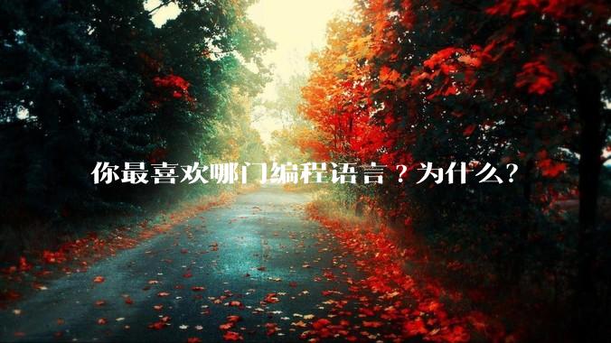 你最喜欢哪门编程语言?为什么?